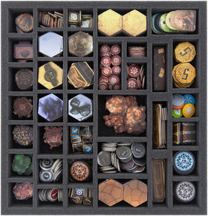 Feldherr Schaumstoff-Set für Gloomhaven Brettspielbox + Magnetbox für Miniaturen