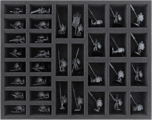 Feldherr Lagerbox DSLB310 für Soulblight Gravelords