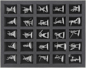 Feldherr Schaumstoff Set mit Eurobox DSEB165 für Kingdom Death: Monsters Gambler’s Chest - Miniaturen