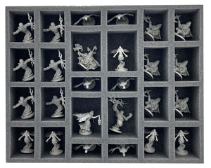 Feldherr Storage Box FSLB250 for Massive Darkness 2: Hellscape - Gates of Hell + War of Souls + Four Horsemen + Druids vs. Beelzebub + Demon Dragon