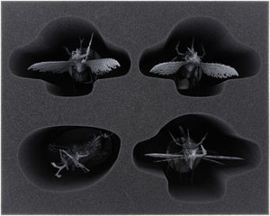 Feldherr Lagerbox für Maggotkin of Nurgle