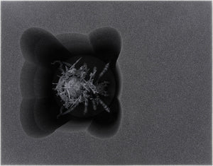 Feldherr Lagerbox für Gloomspite Gitz