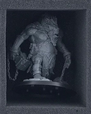 HS075A015 Schaumstoffeinlage für Warcry - 15 Fächer