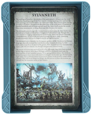 Feldherr Kartenhalter für Warhammer Age of Sigmar: Schriftrollenkarten (groß)