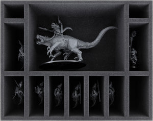 Feldherr MEDIUM PLUS bag for Start Collecting: Seraphon