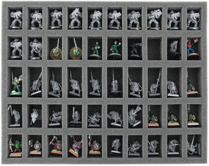 Feldherr Storage Box FSLB250 para 350 miniaturas