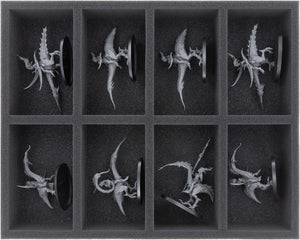 Feldherr Lagerbox für Hedonites of Slaanesh