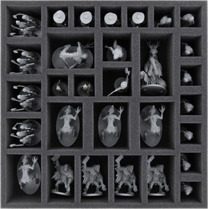 Feldherr Schaumstoff-Set + Organizer Insert für Bloodborne: Das Brettspiel - Grundspielbox