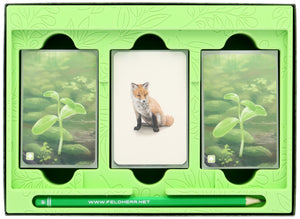 Wkładka organizacyjna Feldherr do Forest Shuffle - pudełko na gry rdzeniowe