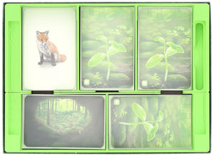 Feldherr Organizer Insert für Mischwald + Erweiterungen - Grundspielbox