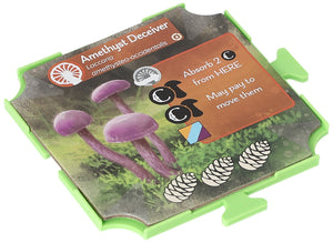 Feldherr Plättchen Halter Set für Undergrove - Mushroom Tiles