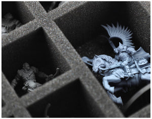 HS070A068 Feldherr Schaumstoffeinlage für Warcrow - 10 Fächer