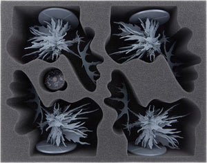 Feldherr Transporter Set für Dark Souls The Board Game - Grundspiel + 12 Erweiterungen